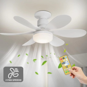 Ventilador De Teto Wind Light Silent Controle Remoto