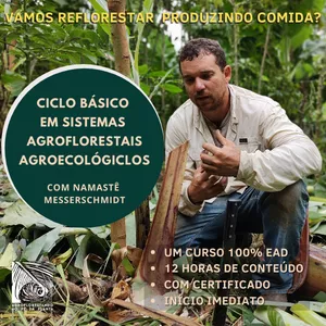 Curso EAD Ciclo Básico Introdução à Agrofloresta
